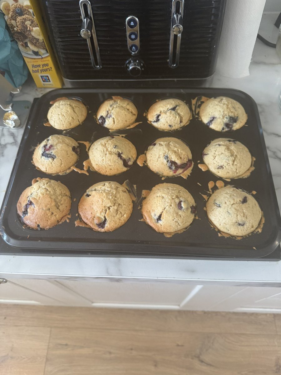 blueberry muffins