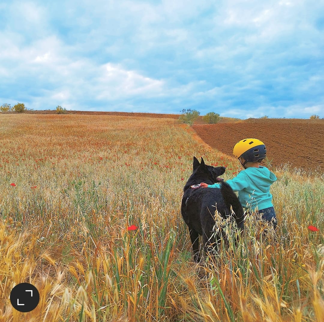 heroesde4patas's tweet image. &quot;Un amigo es quien conoce la canción de tu corazón y puede cantarla cuando a ti se te olvida.&quot; 💙
La amistad verdadera no entiende de especies, solo de cariño y lealtad.

🐾🫂Sonna con su amiguito

#HéroesDe4Patas #amistad #CompañerosDeVida