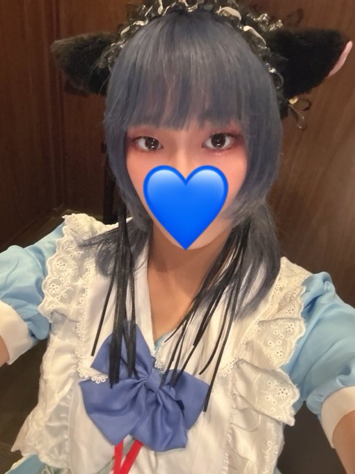 池猫 ~池袋の猫たち~のツイート