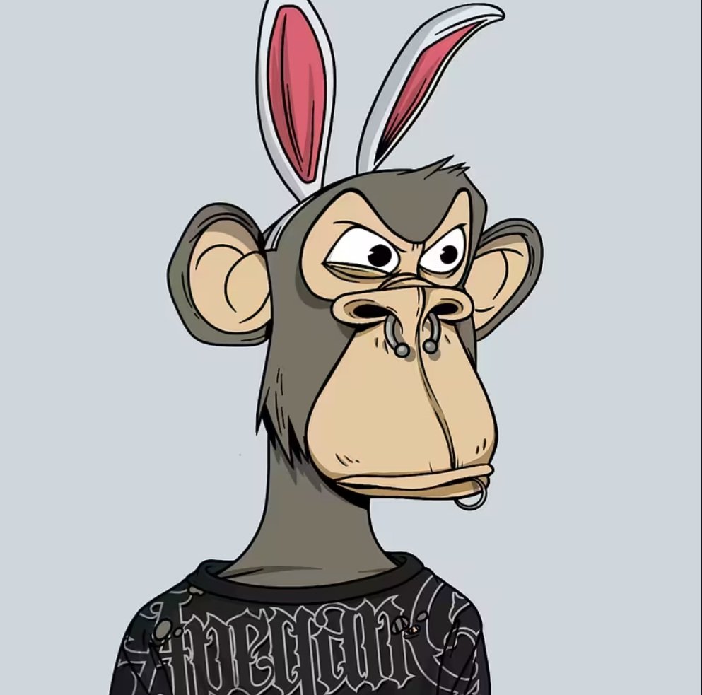 OTTER_LeGods's tweet image. 3.25am going to bed now but....

Curios to see what your favorite @BasedApeGang looks like??

Drop em in the comments so i can take a look in the morning.
⬇️