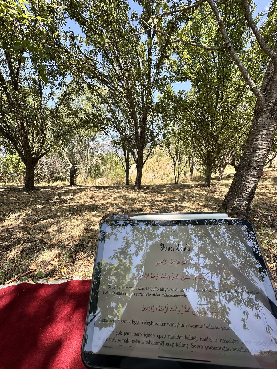 Hem nasıl ki hanesini sever, koca dünyayı da öyle sever. Hem nasıl ki küçük bahçesini sever, öyle de hadsiz ebedî cenneti dahi müştakane sever. 

1. Lem’a