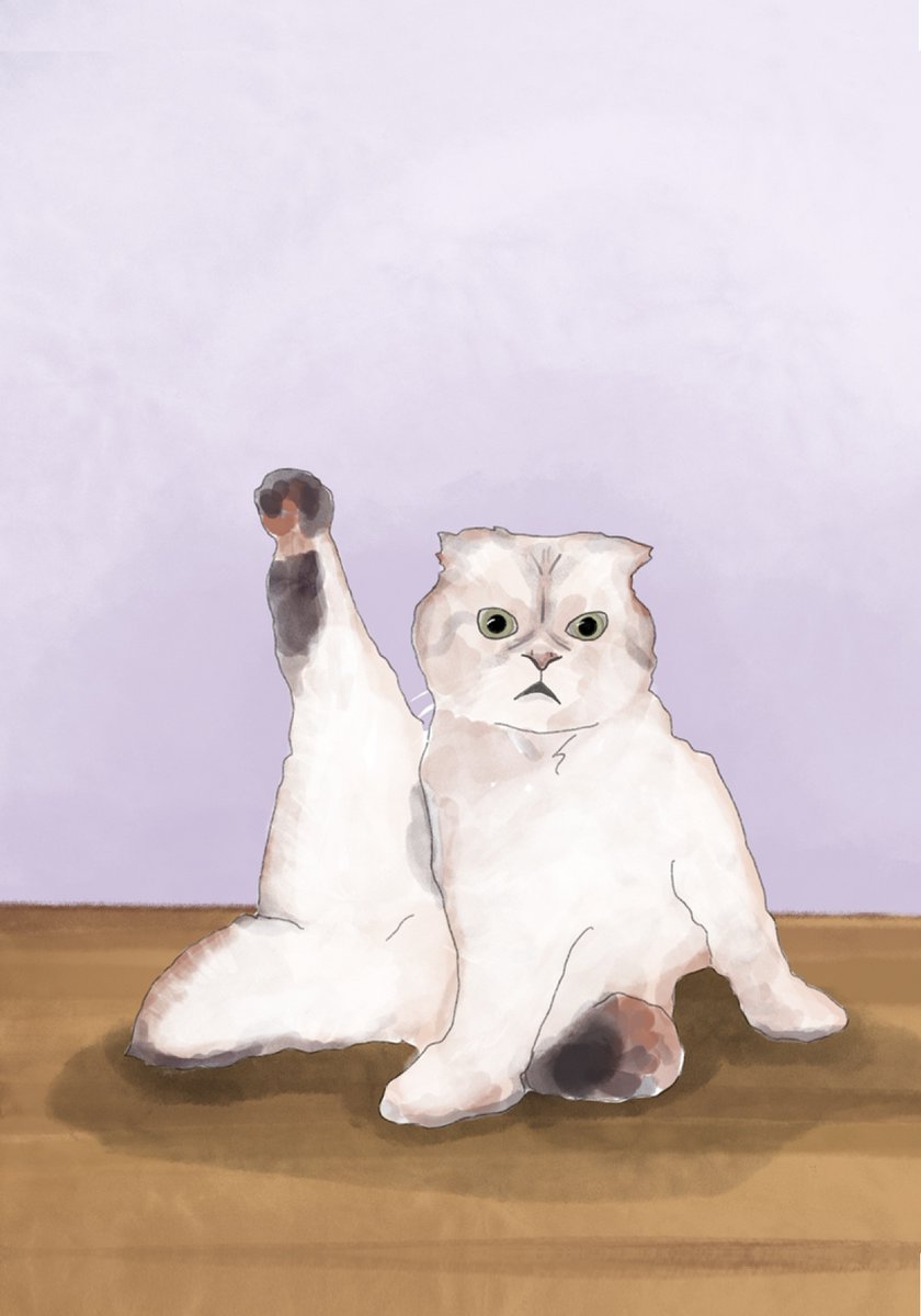 This new release children’s book has it all! Taylor,Travis, football and of course Taylor’s beloved cats. Meredith is hidden throughout the book!  On Amazon.😊 #taylortravis #benjaminbuttonswift #meredithgreyswift #oliviabensonswift #swifties #taylorswift