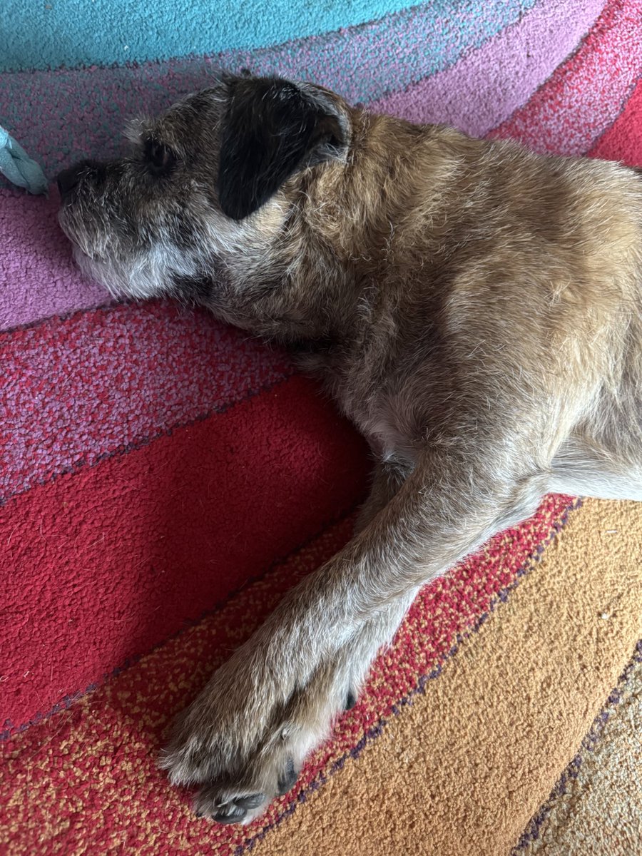 Eddie ๐พโค๏ธโบ๏ธ๐ด๓ ง๓ ข๓ ณ๓ ฃ๓ ด๓ ฟ ๐ฆ ๐ณ๏ธโ๐ (@eddieanb) on Twitter photo Well pals.. Iโm still not well. More steroids, steroid ear drops.. swabs taken of my ear.. and now on buscopan for my tummy too, because Iโm all bloated ๐ญ Not feeling myself at all. Back to the vetty lady on Wednesday #BTPosse Stay with <a href="/EddiesPoshG/">Eddies Posh Grannie</a> and grandpa for a few days๐ Well pals.. Iโm still not well. More steroids, steroid ear drops.. swabs taken of my ear.. and now on buscopan for my tummy too, because Iโm all bloated ๐ญ Not feeling myself at all. Back to the vetty lady on Wednesday #BTPosse Stay with <a href="/EddiesPoshG/">Eddies Posh Grannie</a> and grandpa for a few days๐