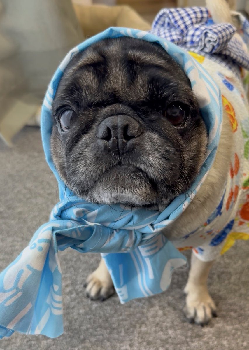 み〜やん☆彡 (@0618Miiyan) / Posts / X