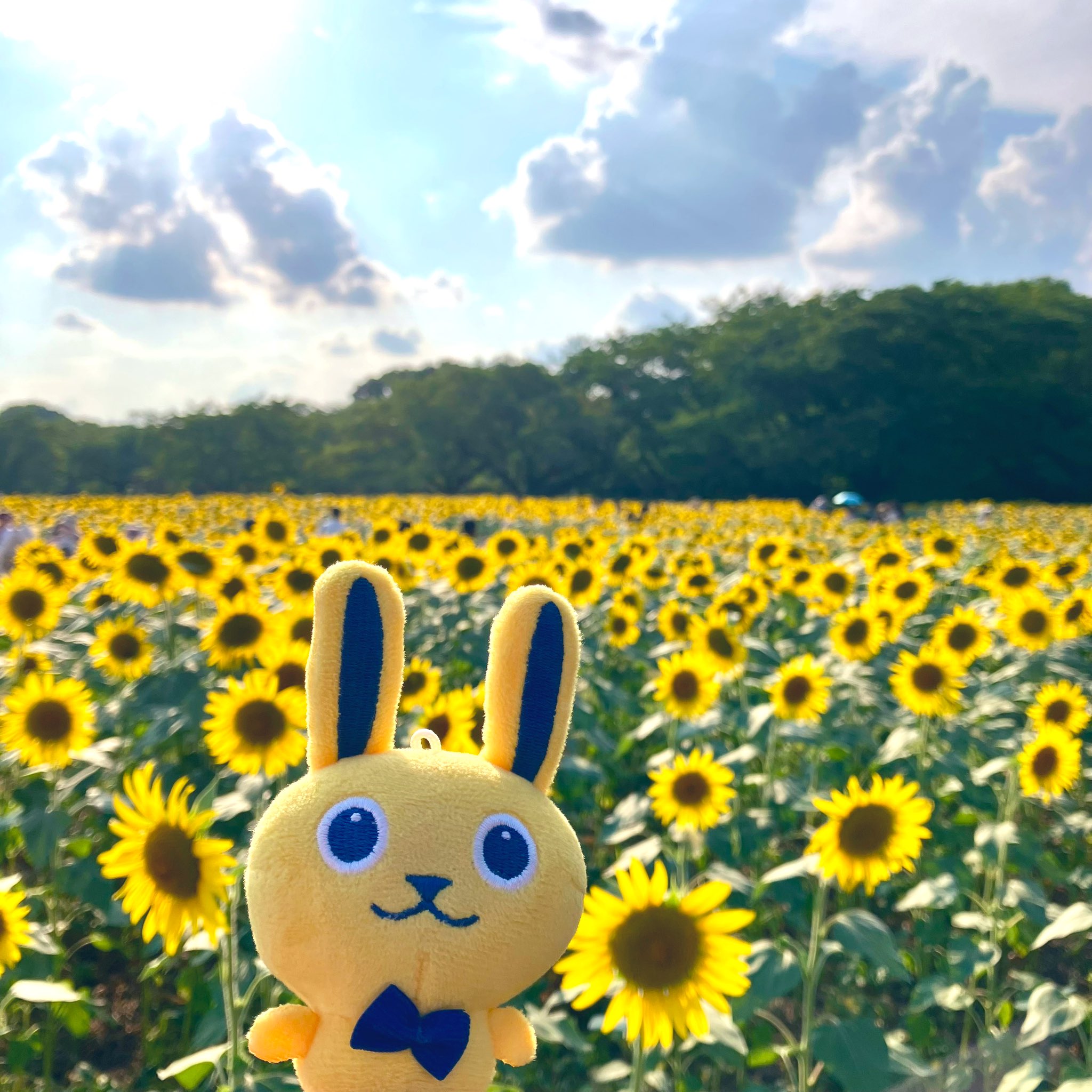 🐰扇風機ニキ on X: 
