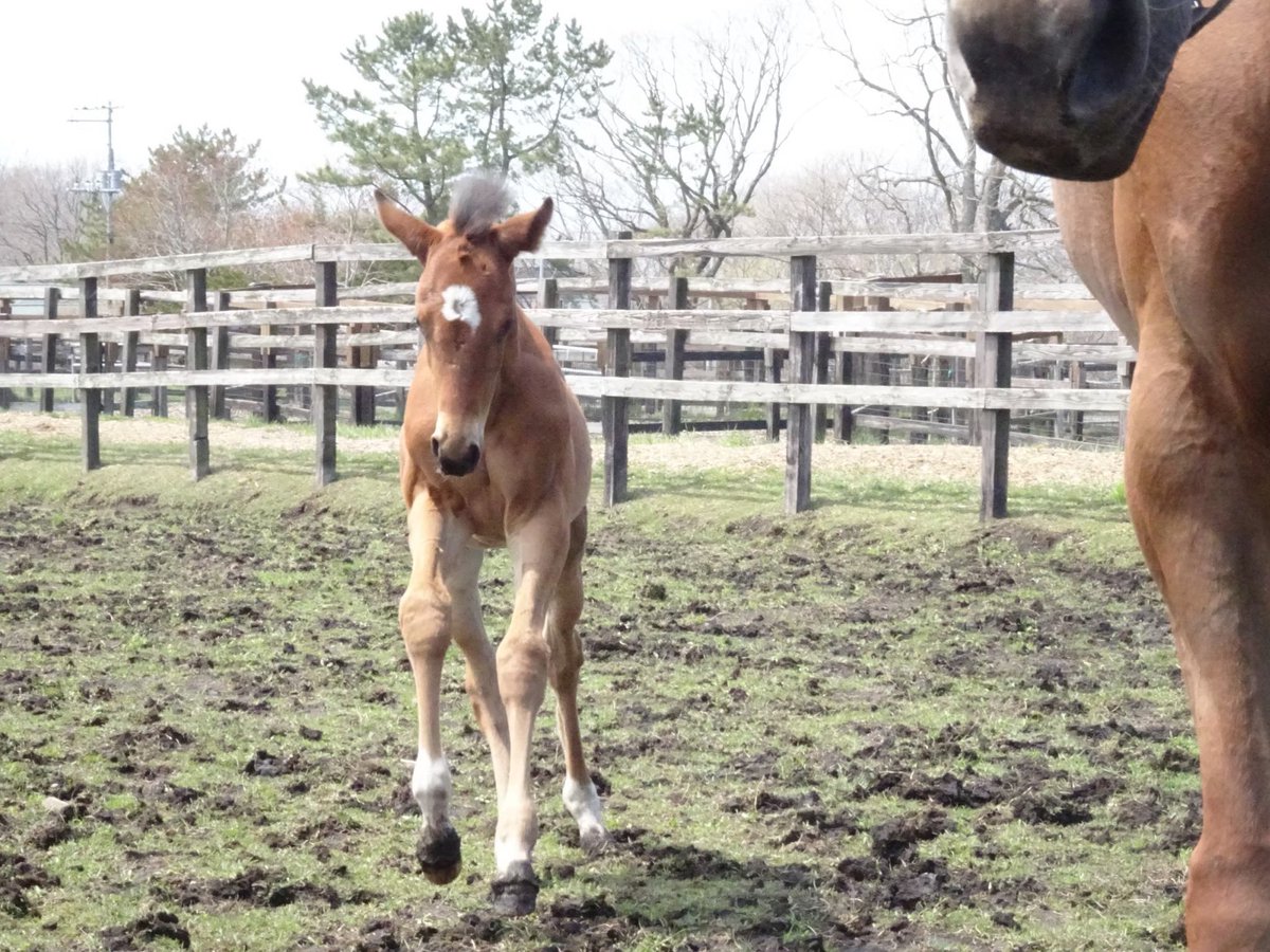 はるお (@haruo_20200324) / Posts / X