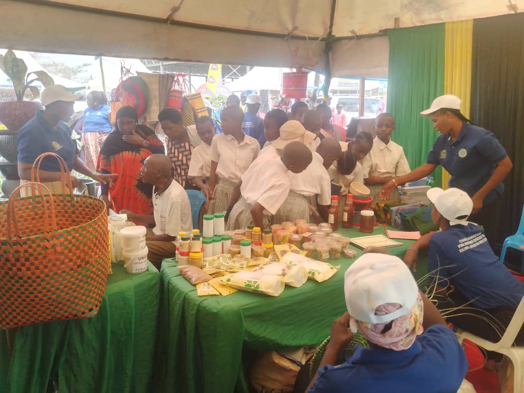 tcrs60's tweet image. Katika moenesho ya #nanenane TCRS Kishapu wamepata nafasi  yakutoa elimu juu ya utunzaji wa mazao baada ya kuvuna ili yasijaribike mapema kwenye jokofu asilia (Zero Energy Cooling Chamber) kama vile mboga mboga na matunda. 
#sikuyananenane2025
#60yearsoftcrs