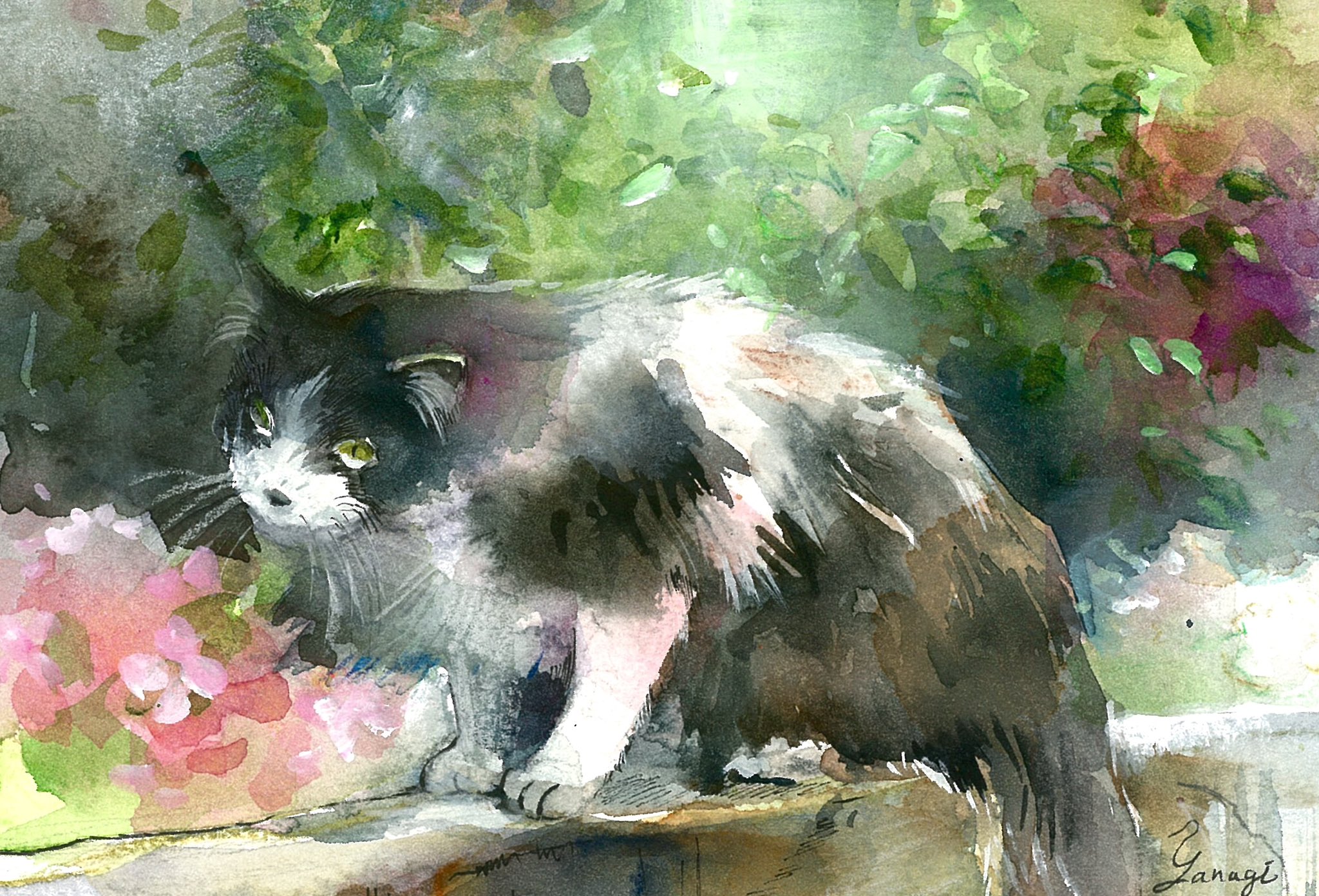 中秋の名月と猫、水彩紙24cm×35cm 中秋の名月と猫、水彩紙24cm×35cm