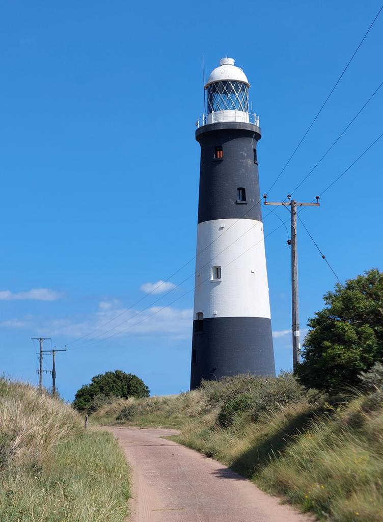 DaveRead18's tweet image. It's been many years since I last made it to the point at Spurn, so it was great to get down this weekend with Karry &amp;amp; Darwin. So many memorable birds over the years.