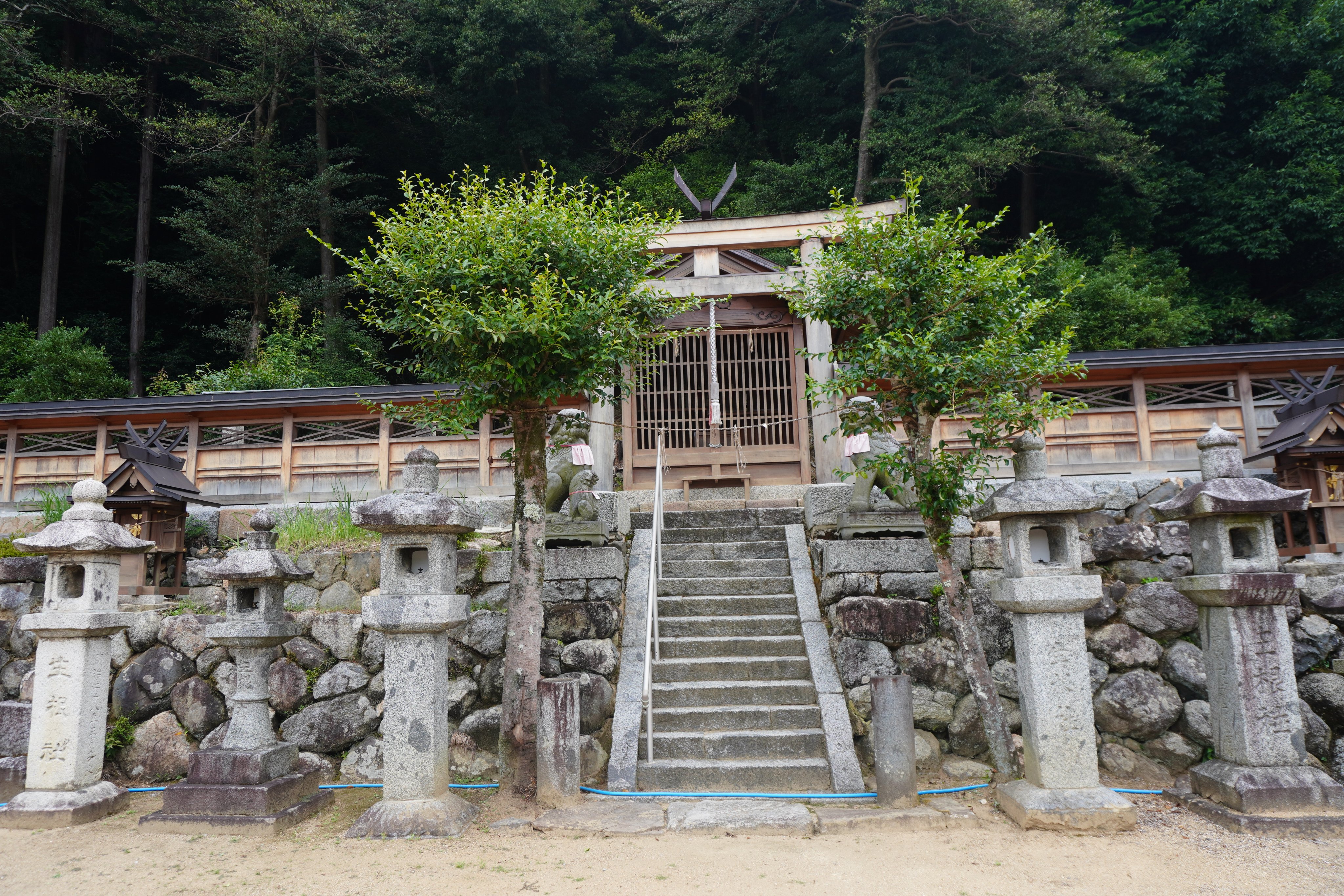16世紀・霊物崇拝「自然界精霊」生霊・魂・自然霊・アミニズム・木彫 祖霊像(小)<アフリカの木彫り像：アフリカ雑貨アザライ