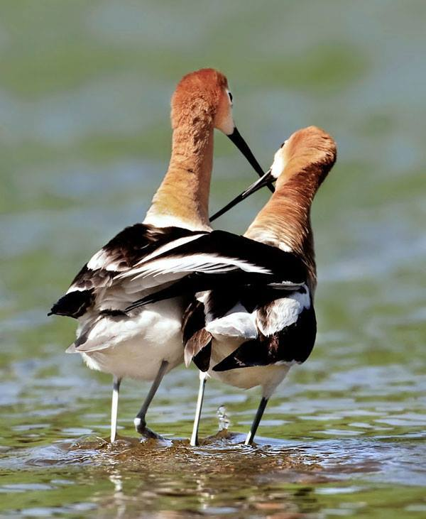 Αγαπη στο κατακαλοκαιρο..
και πως μερωσε η καρδια
στο κοιταγμα της. *Ε.ΣΑΛΑΧΑ*