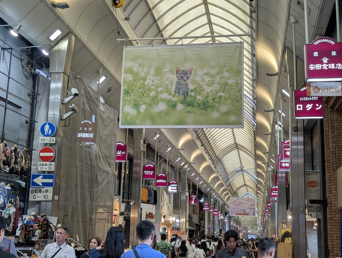 they'll try to tell you place:Japan isn't true.  but I know different. I've seen it.