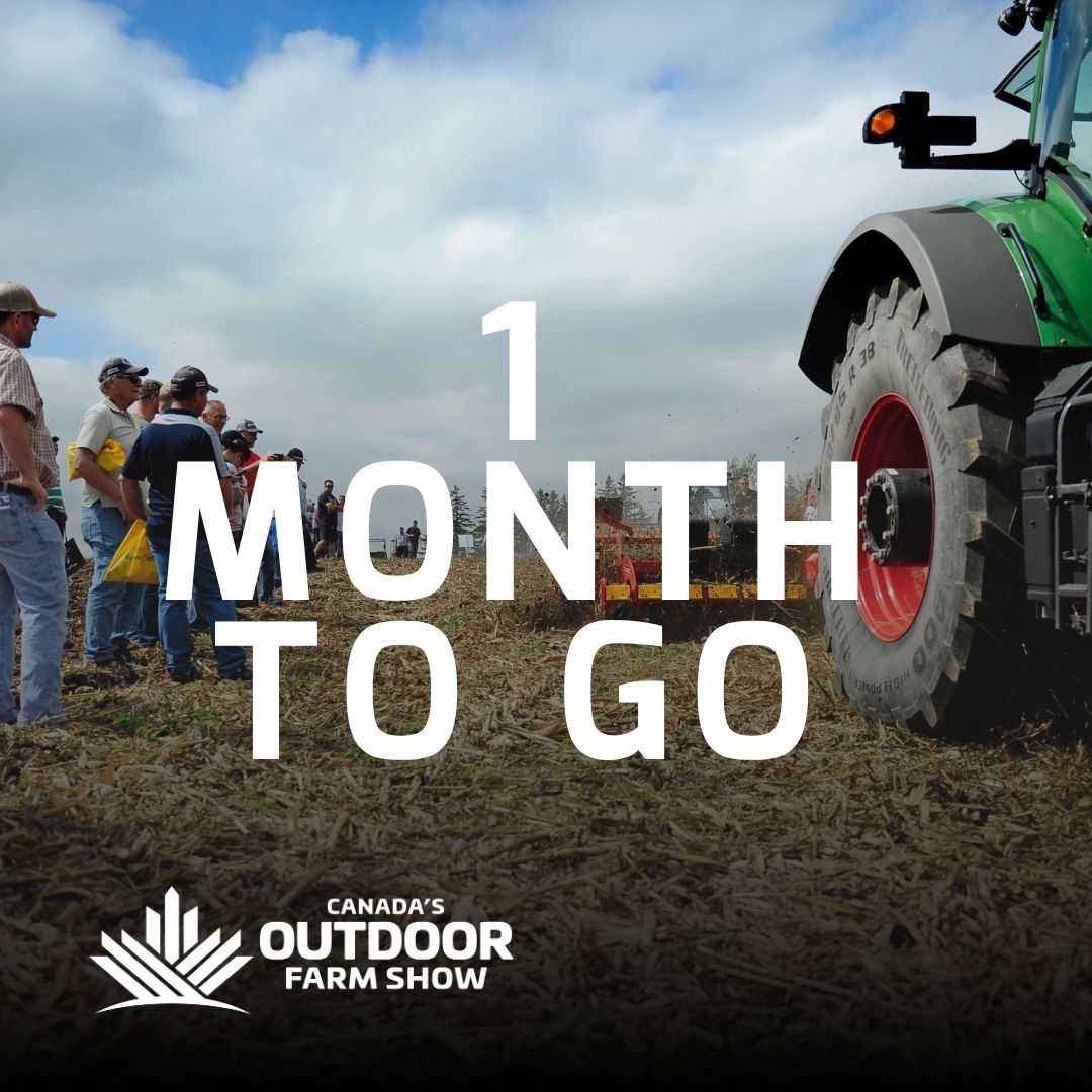 Canada's Outdoor Farm Show (@outdoorfarmshow) on Twitter photo #COFS25 is just 1 MONTH AWAY! ⏳
The countdown is on!!!!!
Live demos, innovation, and 650+ exhibitors bring agriculture to life—in the field.
📍 Woodstock, Ontario
📅 September 9–11, 2025
🎟️ Grab your tickets now:
outdoorfarmshow.com
#cdnag #eastcdnag #COFS25 is just 1 MONTH AWAY! ⏳
The countdown is on!!!!!
Live demos, innovation, and 650+ exhibitors bring agriculture to life—in the field.
📍 Woodstock, Ontario
📅 September 9–11, 2025
🎟️ Grab your tickets now:
outdoorfarmshow.com
#cdnag #eastcdnag