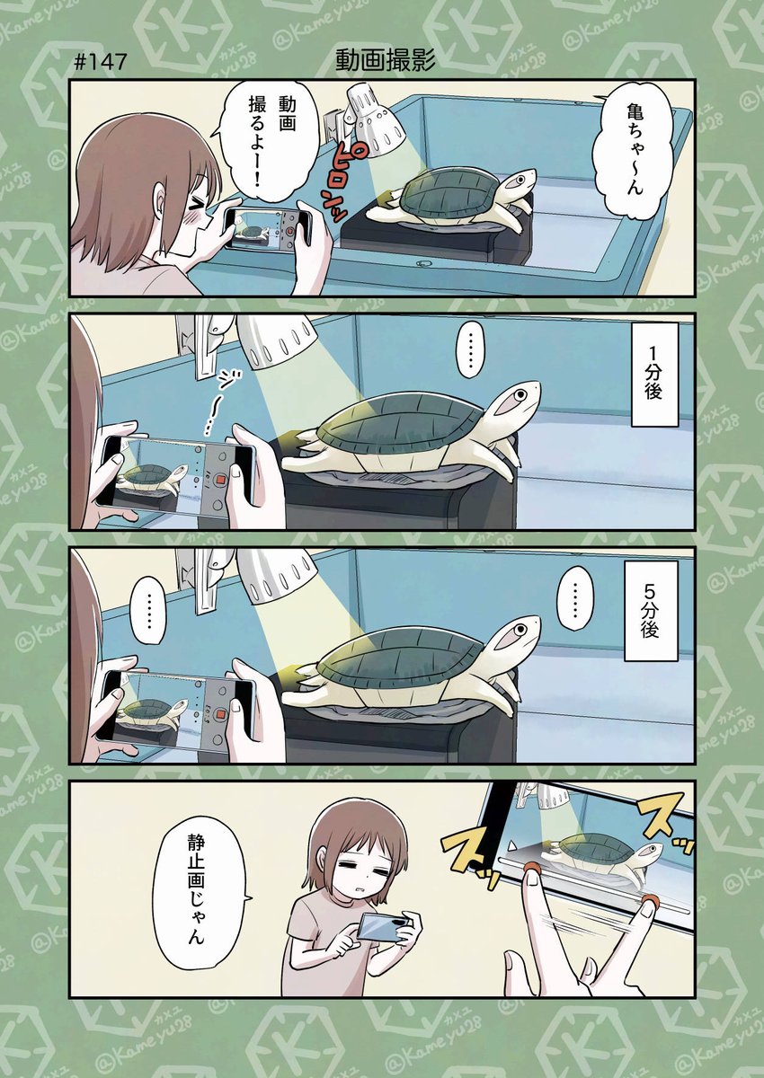 カメユ│亀と絵と漫画 (@kameyu28) / X