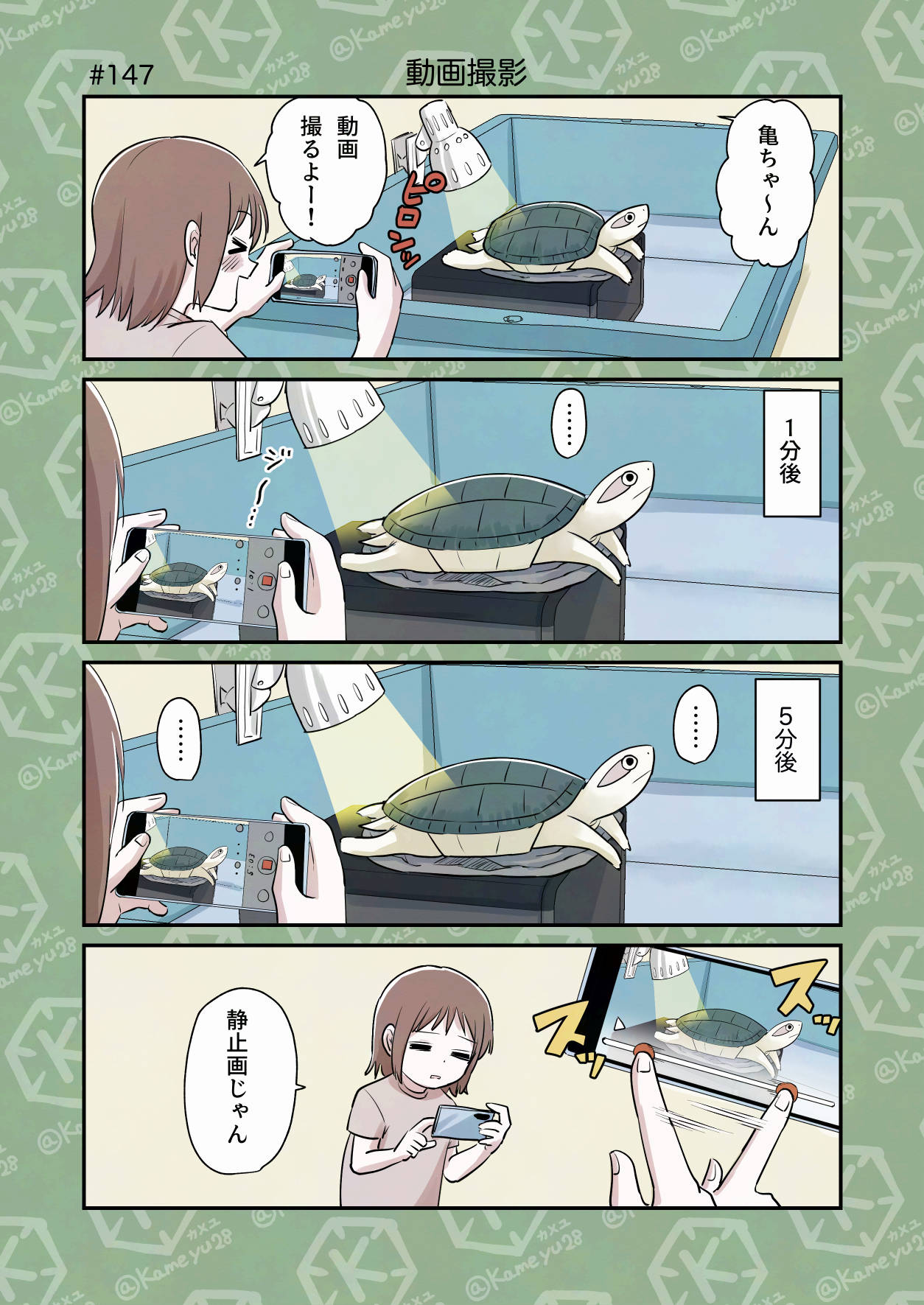 かめページ カメユ│亀と絵と漫画 (@kameyu28) / X