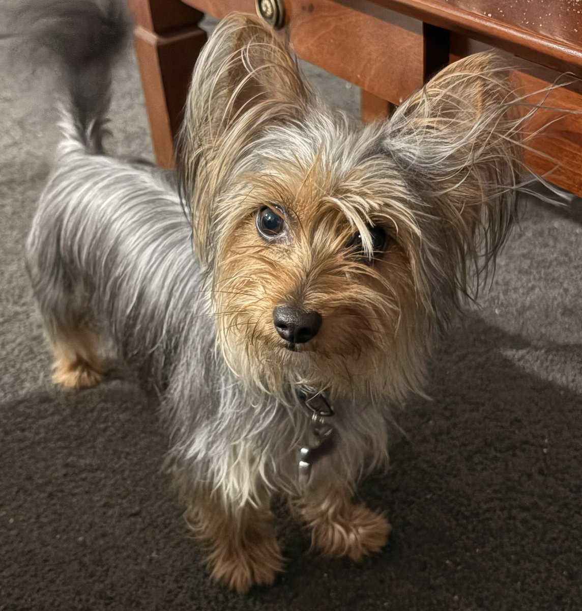 Millie had a bath today