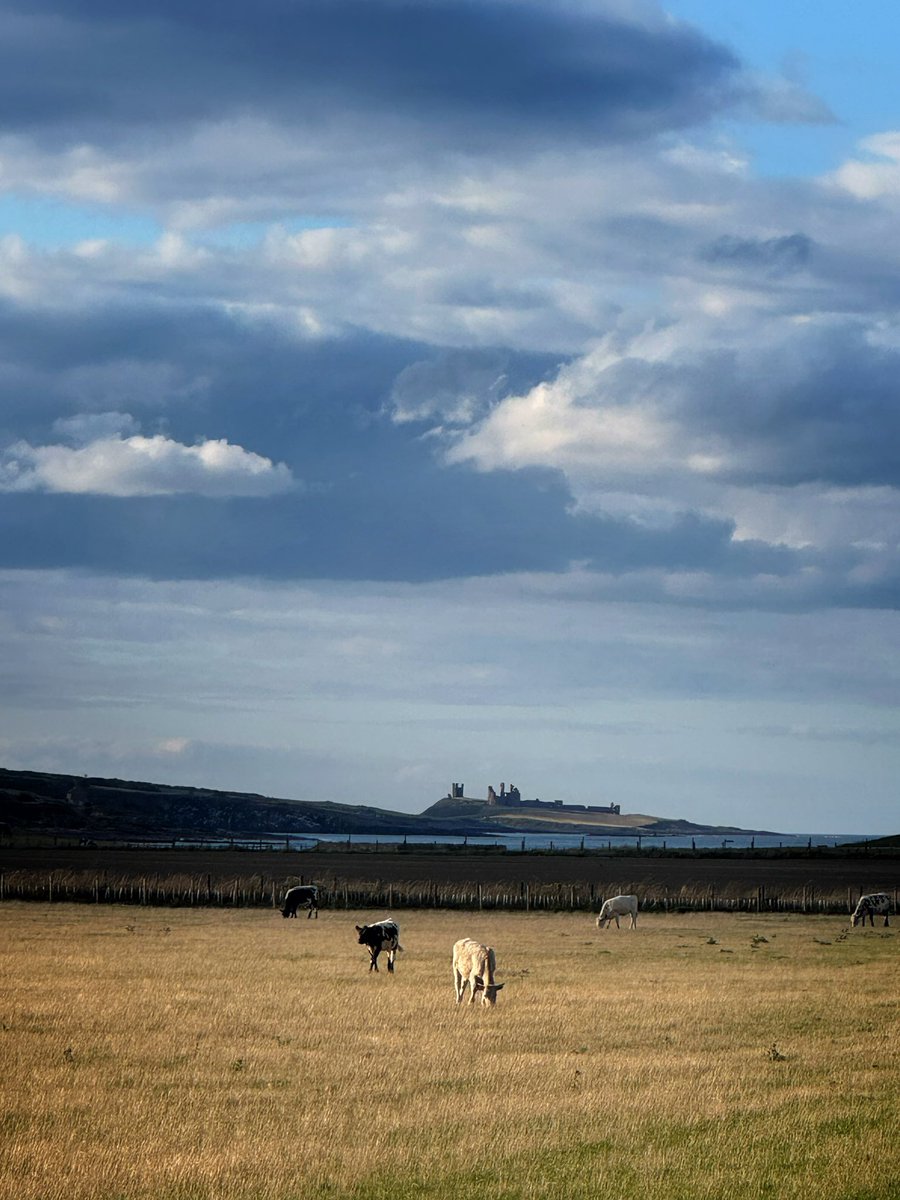 Beautifully dramatic clouds on a Northumbrian summer evening.