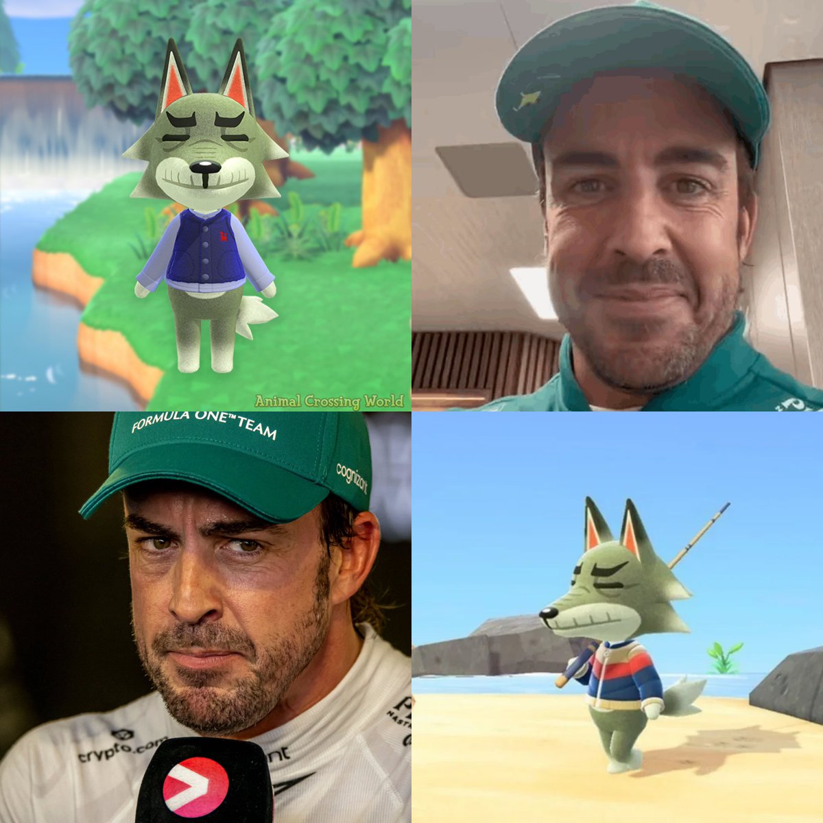 GRsixitythree's tweet photo. Fernando Alonso ~ Dobie https://t.co/0VoseiuoDu