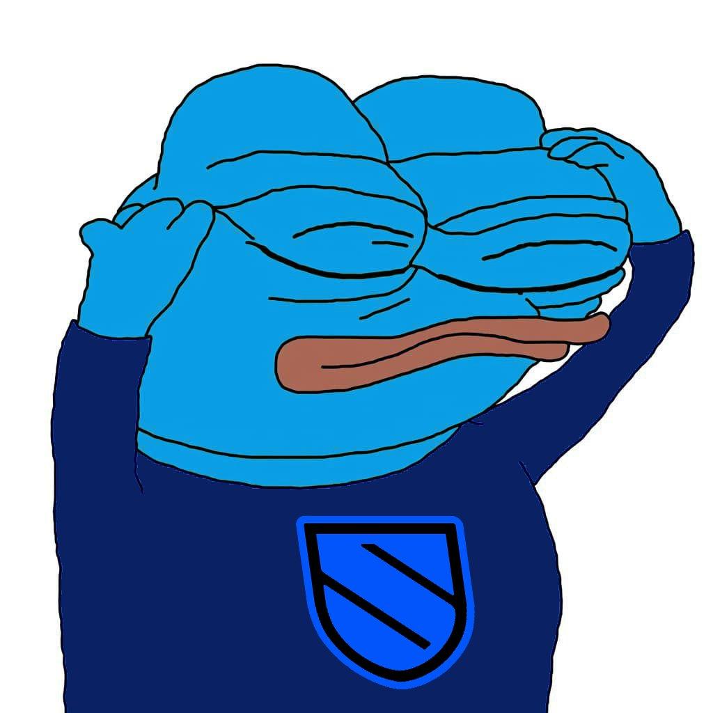 $P2P Bluefren Memes🛡️ tweet media