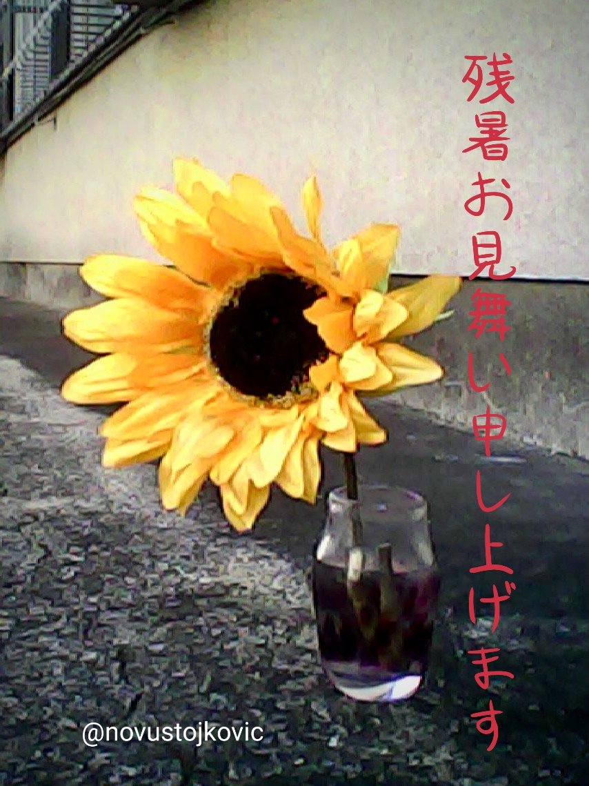 novustojkovic's tweet image. 「соняшник」

残暑お見舞い申し上げます

水差しは多摩美の硝子工芸の
生徒さんの作品素敵ですね✨

トイカメラバージョン📷️
作り過ぎたかな💦

#残暑お見舞い申し上げます
#соняшник #ひまわり
#sunflower #glassworks
#toydegital #toycamera