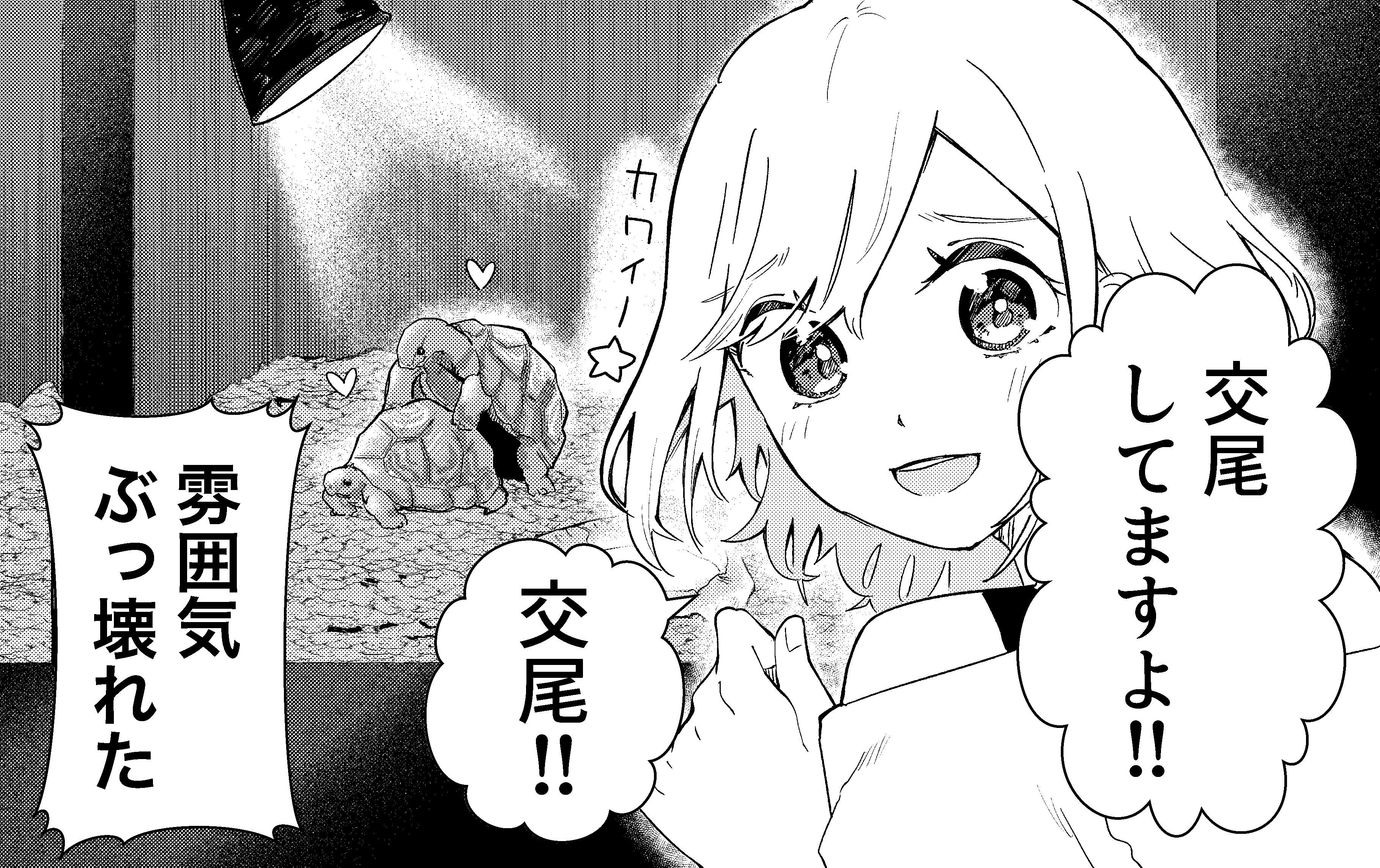 メル愛犬溺愛 mokuhachi on X: 