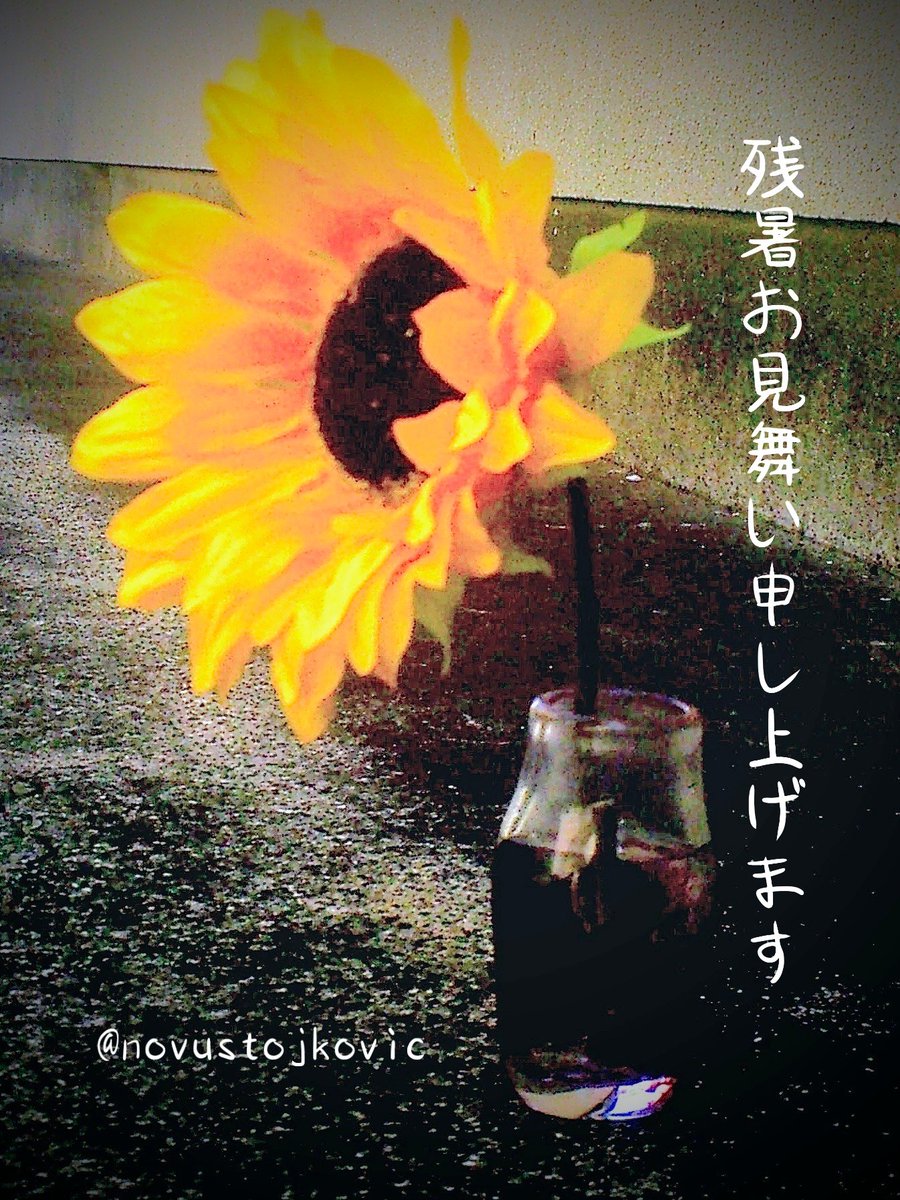 novustojkovic's tweet image. 「соняшник」

残暑お見舞い申し上げます

水差しは多摩美の硝子工芸の
生徒さんの作品素敵ですね✨

トイカメラバージョン📷️
作り過ぎたかな💦

#残暑お見舞い申し上げます
#соняшник #ひまわり
#sunflower #glassworks
#toydegital #toycamera