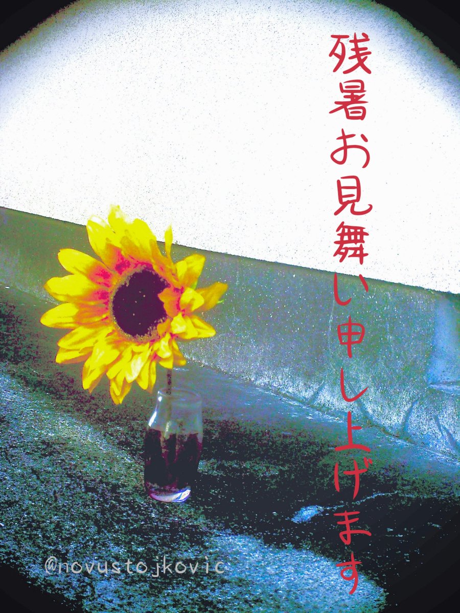 novustojkovic's tweet image. 「соняшник」

残暑お見舞い申し上げます

水差しは多摩美の硝子工芸の
生徒さんの作品素敵ですね✨

トイカメラバージョン📷️
作り過ぎたかな💦

#残暑お見舞い申し上げます
#соняшник #ひまわり
#sunflower #glassworks
#toydegital #toycamera