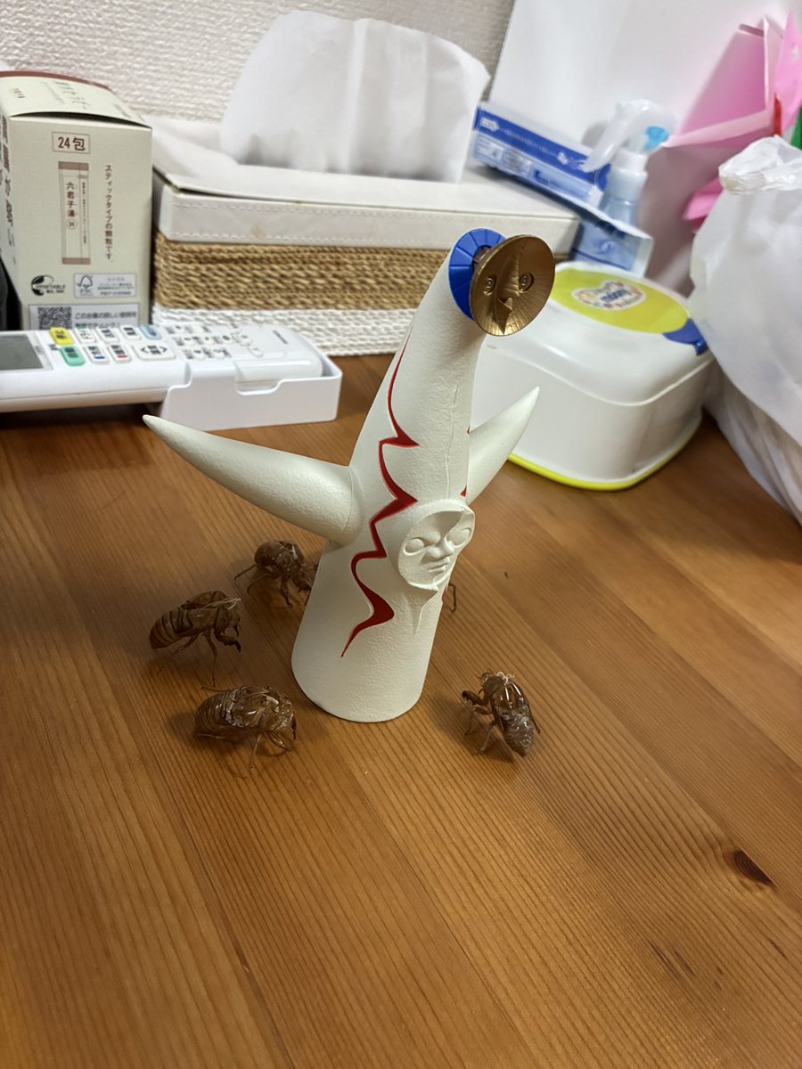 太陽の党が我が家で発足しました。