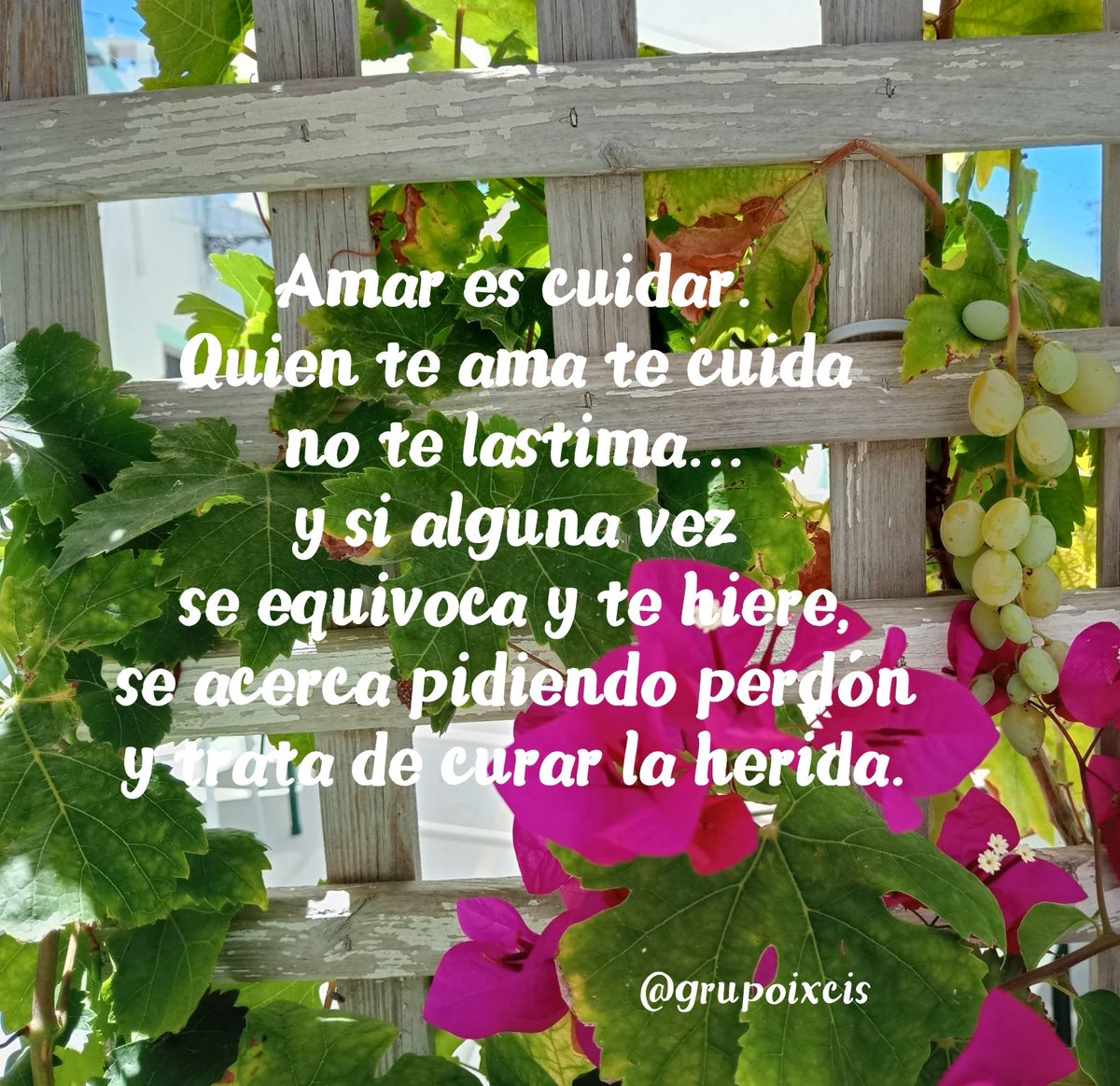 🎏 Ixcís 🎶 (@grupoixcis) on Twitter photo 