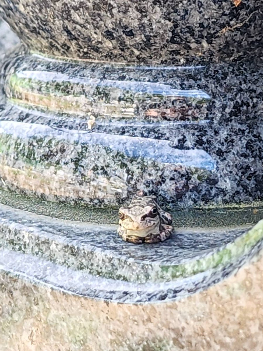 お墓掃除での一コマ📷️
お盆ですね！
#宮古市 #岩手県