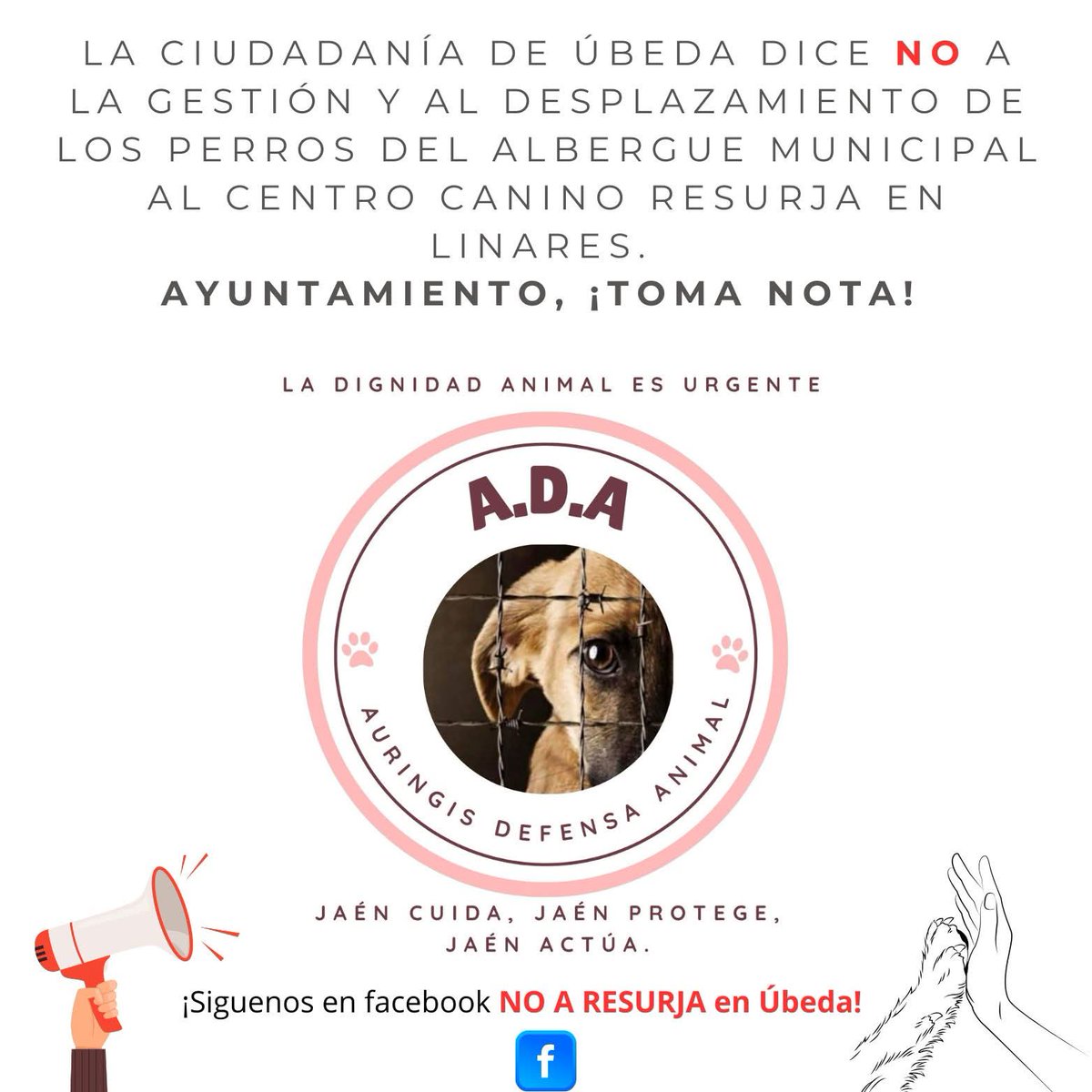 LaVozdeÚbeda (@lavozde_ubeda) on Twitter photo 