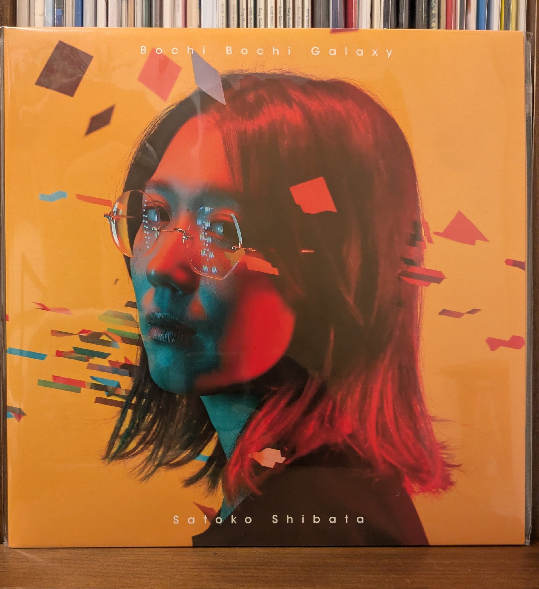 美品!柴田聡子『ぼちぼち銀河』レコード アナログ ぼちぼち銀河 : 柴田聡子 | HMV&BOOKS online - DDCB-12118