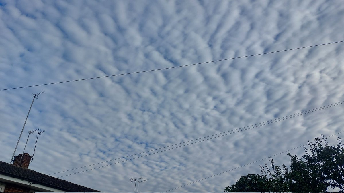 Lynda Bullock tweet media