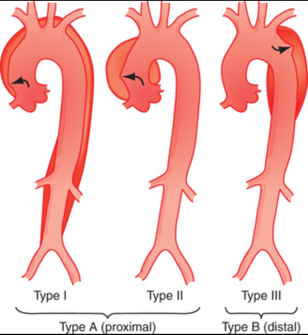 CardiovascularCorner tweet media