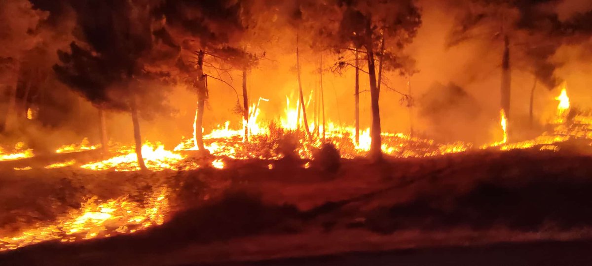 Tareas nocturnas de 41.25 🚒 y 42.25 🚒 #INFOMA25
Contrafuego 🔥 en la Av-561 con viento de componente sureste
#IFSanBartolomeDePinares #IFValdemaqueda