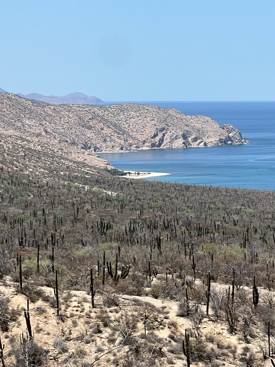 danidz45's tweet photo. Criado x la playa y el desierto 🏜️ https://t.co/EWZ7IGCdtF