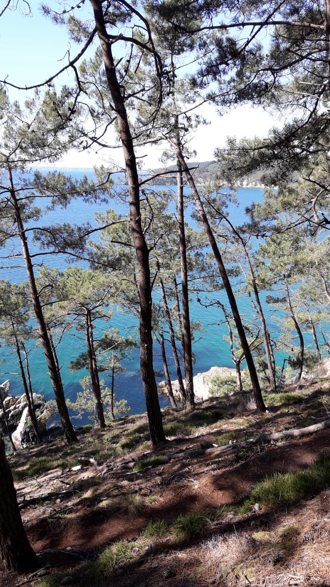 bon week-end ou bonnes vacances les amies et amis, protégez vous des fortes chaleurs