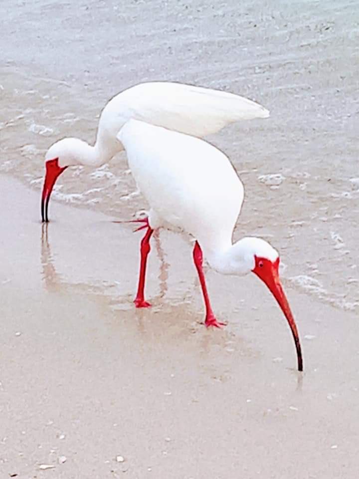 Good morning X…life is 10%
of what happens to you! 
and 90% of what you make of it!

…not my quote but yes my photos!
📸 me ✌️#weekend #goodmorning