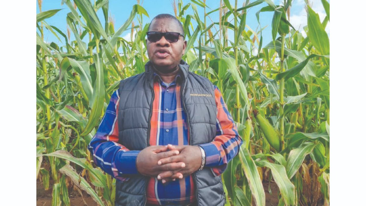 Good morning, fellow Zimbabweans. Just a reminder that today at 6 PM Zimbabwean time, myself, <a href="/BaShonaBaShona/">BaShona.</a>, and <a href="/enkudheni/">Padare-Enkundleni</a> will be hosting Prof. Jiri <a href="/obertjiri/">Obert Jiri</a>, the Permanent Secretary of the Ministry of Agriculture, where we will be discussing a lot of things about our