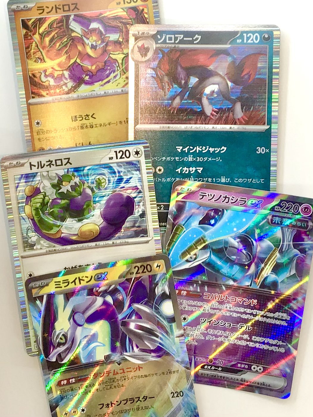 遊ING浜町店トレカ YCS(遊INGチャンピオンシップ)公式 on X: 