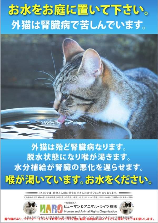 助けてください🆘🙇🐱
拡散お願いします