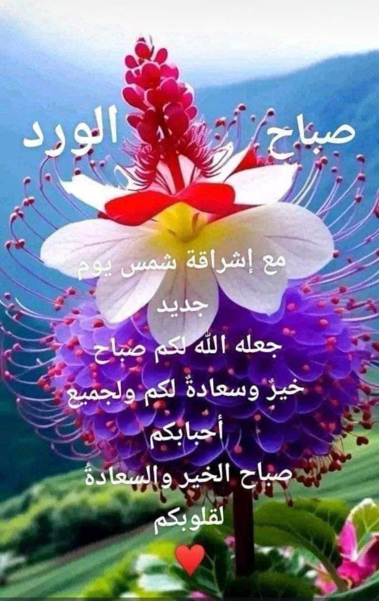Ahmed Nofal (@ahmednofal1972) on Twitter photo 