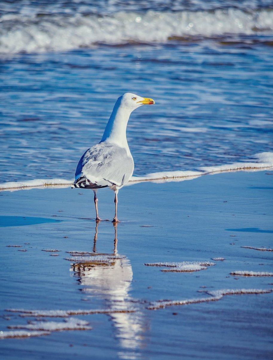 Enjoy the « now »  🩵🐦