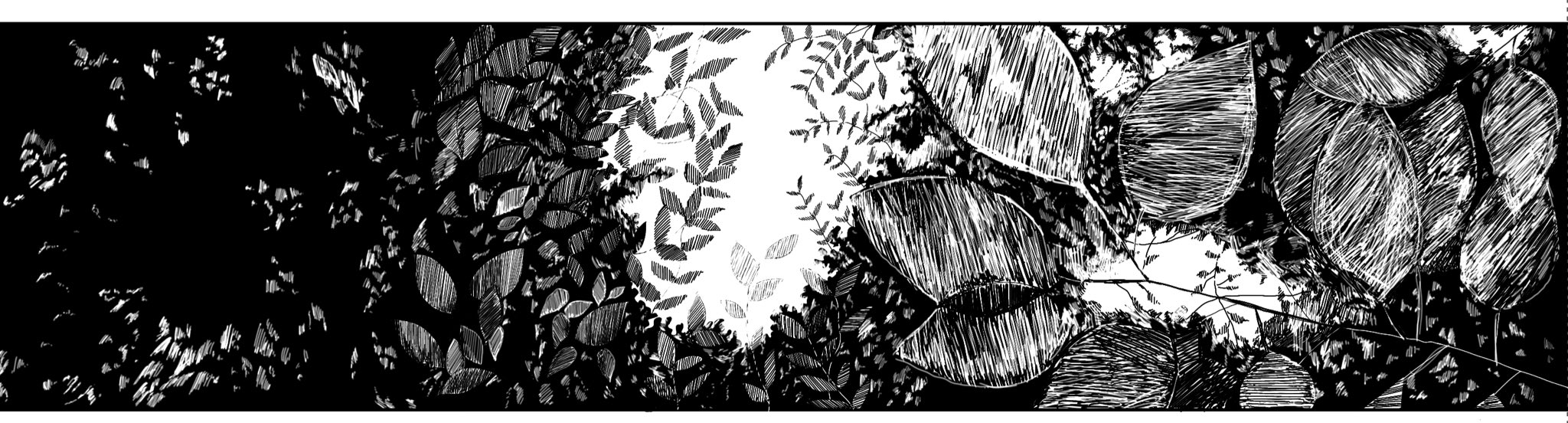 モノクロ原画 花❁❀✿✾ モノクロ原画)花の玉座 - よしはまや - BOOTH