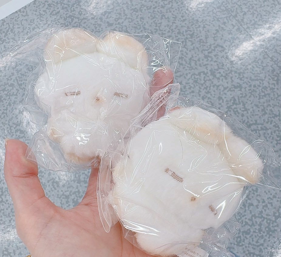 きよ(プロカ必読お願いします) tweet media