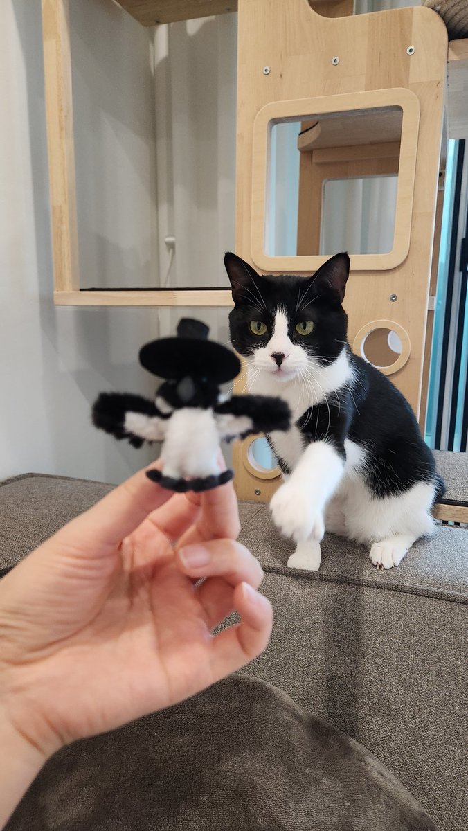 우리집에 아기 까치가 두 마리
꼬리까지 똑닮음 🍙🎩