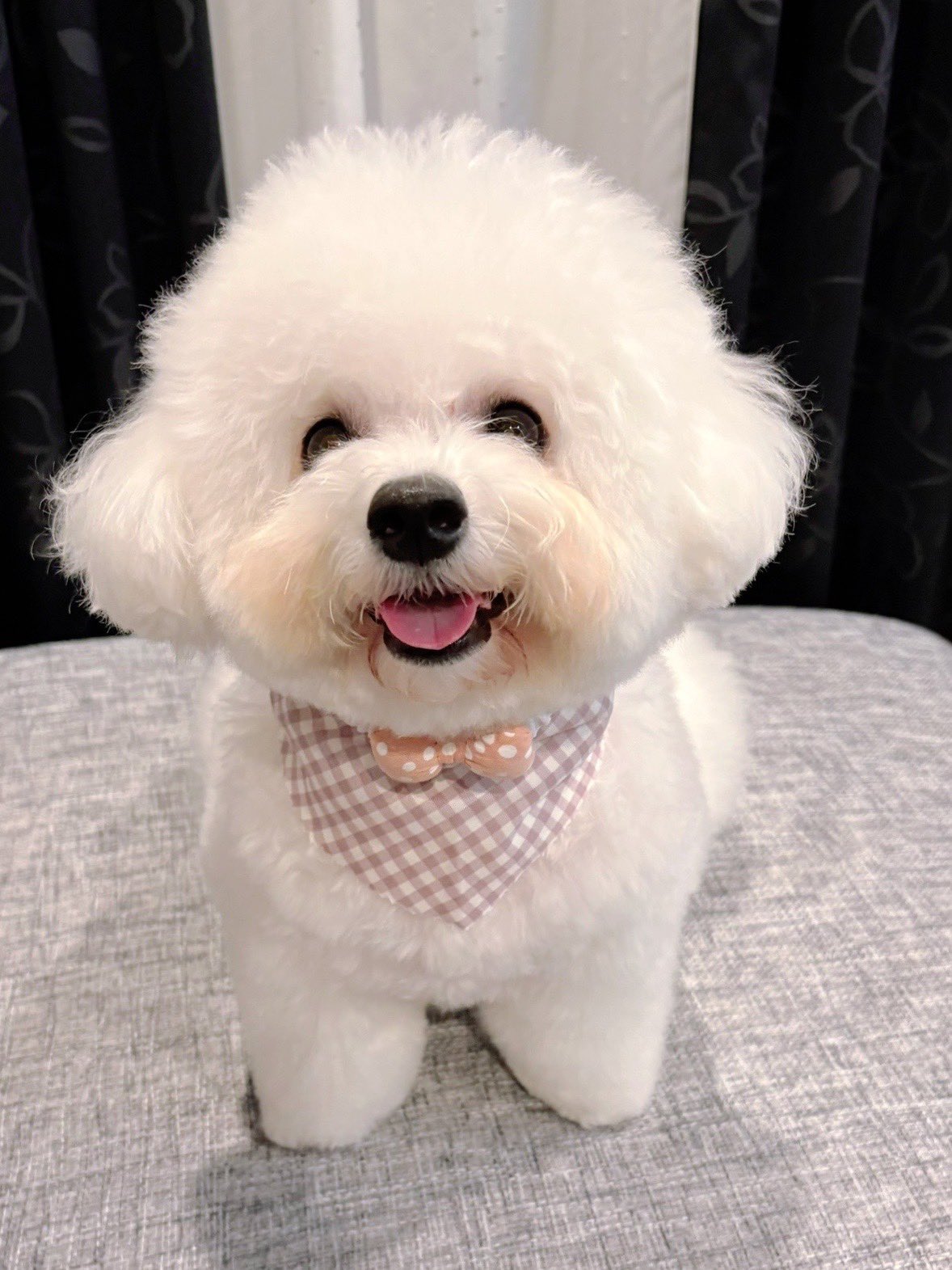 はくとん様❤️おまとめし専用ページです。2/14まで♡ Amazon | ぺんてる 消しゴム 四字熟語消しゴム 10個 AMZ