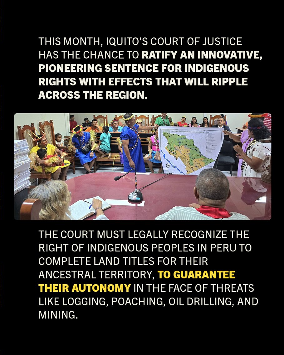 ✊The Secoya–Siekopai continue to fight for their ancestral lands and the right to live in peace.

🇵🇪 In #Peru, the #Iquitos Court of Justice can ratify a landmark Indigenous rights ruling, breaking centuries of dispossession and recognizing the forest’s rightful guardians.