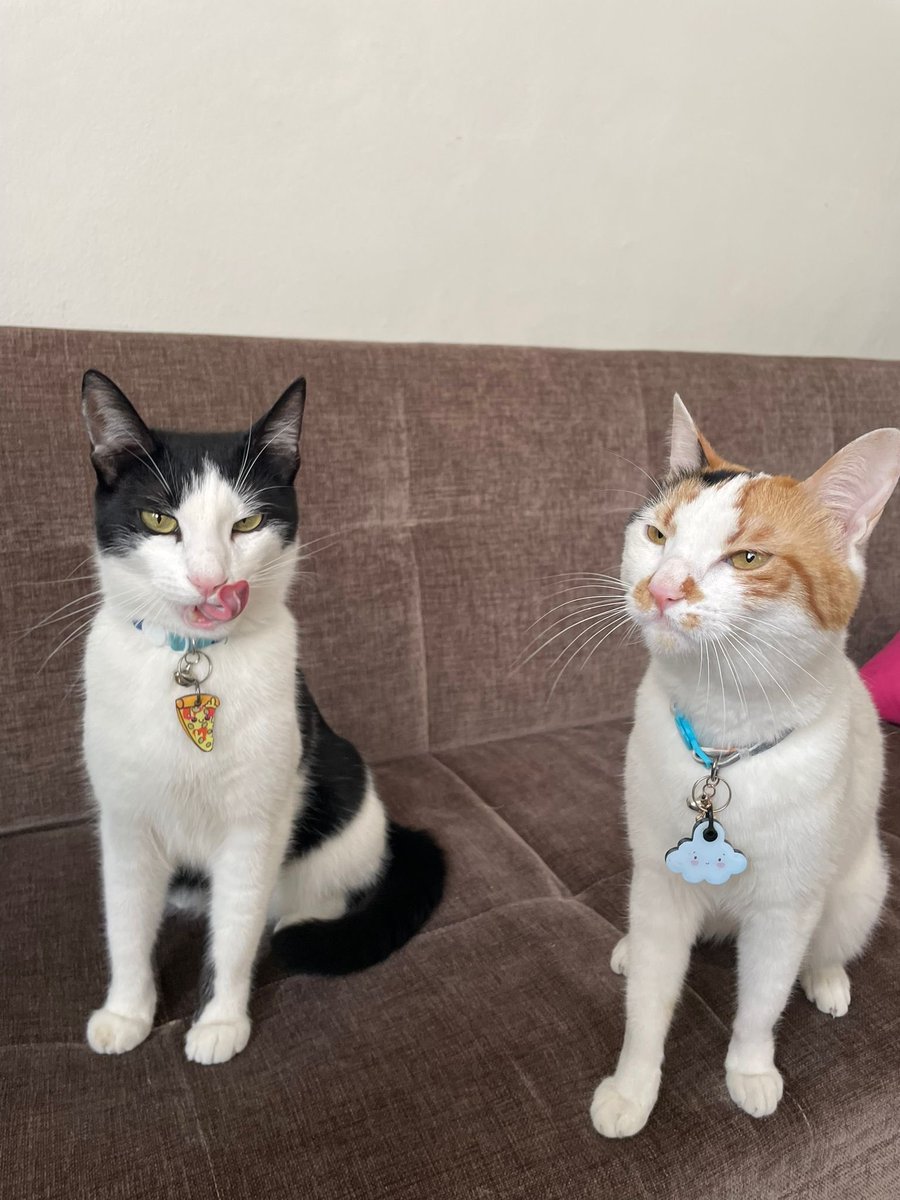 bis daha iyi bi ikilüydük