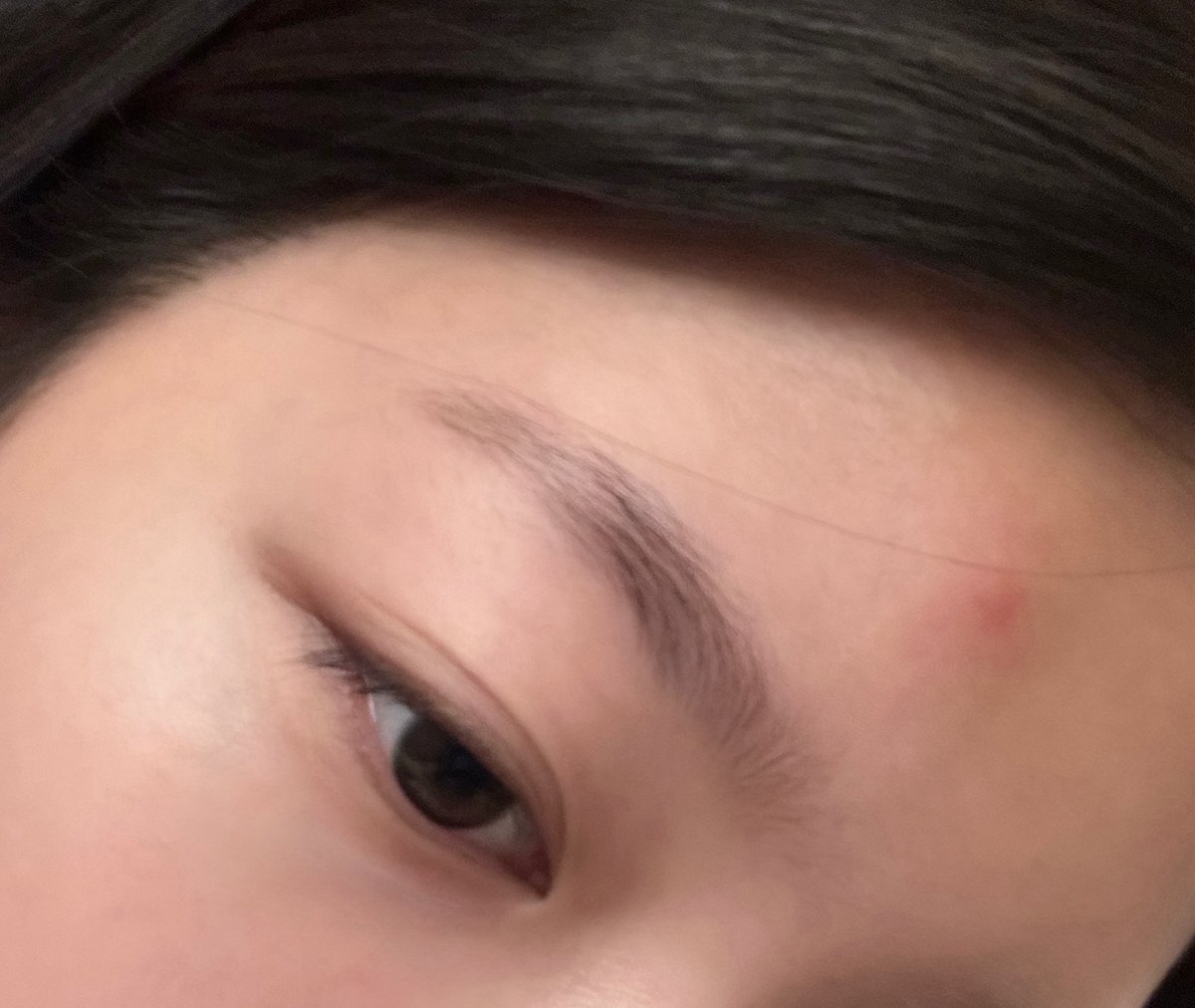 Yoonchae is being bitten by mosquitoes so she said she's gonna imagine they are EYEKONS. 😭

🐚: I should think that the mosquitoes are our EYEKONS.
🐚: You came because you missed me.
🐚: 💗💗
🐚: I'll hug you when the mosquitoes come again.
🐚: ☺️